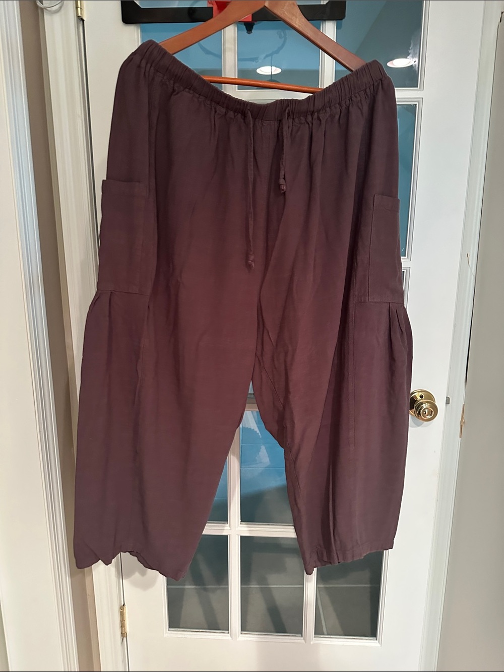 Looks like FreePeople Pants